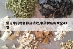 <b>������ҩ�����Ƽ���Ч,��ҩ�����ƴ�ȫ43ҳ</b>