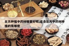 <b>������ֲ��ҩ���������,�ʺϱ�����ҩ����ֲ������Щ</b>