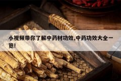 <b>С��Ƶ�����˽���ҩ�Ĺ�Ч,��ҩ��Ч��ȫһ��!</b>