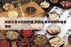 <b>����������ҩ����ֲ,����������ҩ����ֲ����Щ</b>