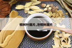 <b>ͩ��ҶͼƬ,��ͩ��ͼƬ</b>