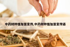 <b>��ҩ����ֲ��������,��ҩ����ֲ����������</b>