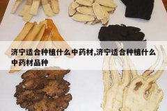 <b>�����ʺ���ֲʲô��ҩ��,�����ʺ���ֲʲô��ҩ��Ʒ��</b>