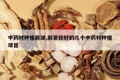 <b>��ҩ����ֲǰ��,ǰ���Ϻõļ�����ҩ����ֲ��Ŀ</b>