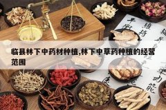 <b>����������ҩ����ֲ,�����в�ҩ��ֲ�ľ�Ӫ��Χ</b>