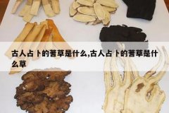 <b>ռʲô,ռʲô</b>