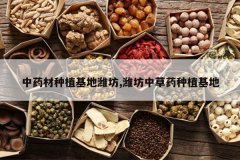 <b>��ҩ����ֲ����Ϋ��,Ϋ���в�ҩ��ֲ����</b>