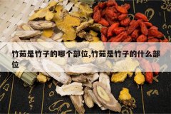 <b>���������ӵ��ĸ���λ,���������ӵ�ʲô��λ</b>