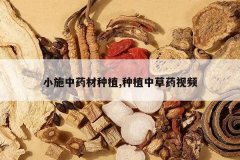 <b>Сʩ��ҩ����ֲ,��ֲ�в�ҩ��Ƶ</b>