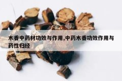 <b>ľ����ҩ�Ĺ�Ч������,��ҩľ�㹦Ч������ҩ�Թ龭</b>