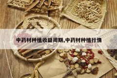 <b>��ҩ����ֲ��������,��ҩ����ֲ����</b>