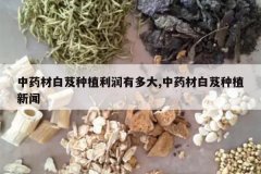 <b>��ҩ�İ�ܸ��ֲ�����ж��,��ҩ�İ�ܸ��ֲ����</b>