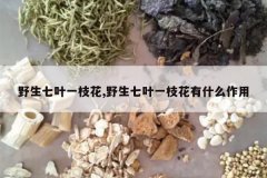 <b>Ұ����Ҷһ֦��,Ұ����Ҷһ֦����ʲô����</b>