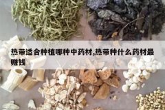 <b>�ȴ��ʺ���ֲ������ҩ��,�ȴ���ʲôҩ����׬Ǯ</b>