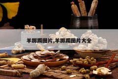 <b>������ͼƬ,������ͼƬ��ȫ</b>