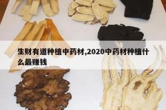 <b>�����е���ֲ��ҩ��,2020��ҩ����ֲʲô��׬Ǯ</b>