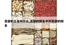 <b>�ٲ���������ʲô,�ٲ��ı�����ҩ�ٲ��ı���</b>