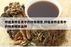 <b>��ֲ����������ҩ������Щ,��ֲ����������ҩ������ЩƷ��</b>