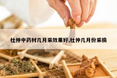 <b>������ҩ�ļ��²�Ч����,���ټ��·ݲ�ժ</b>