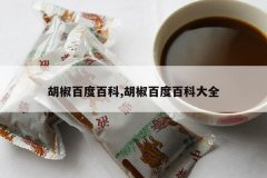 <b>�����ٶȰٿ�,�����ٶȰٿƴ�ȫ</b>