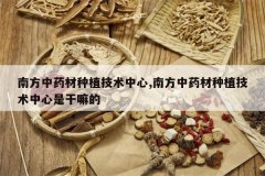 <b>�Ϸ���ҩ����ֲ��������,�Ϸ���ҩ����ֲ���������Ǹ����</b>