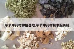 <b>�Ͻ���ҩ����ֲ����,�Ͻ���ҩ�ļ�������վ</b>