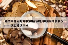 <b>�Ŀݲ������Ƽ�״�ٽ����,��״�ٽ�ڶ���mm���Ͻ�������</b>