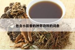 <b>С湦ЧĴ</b>