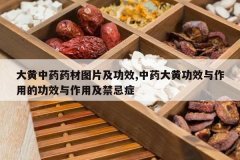 <b>�����ҩҩ��ͼƬ����Ч,��ҩ��ƹ�Ч�����õĹ�Ч�����ü�����</b>