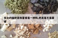 <b>������è�����޽����һ����,�����ǲ���޽��</b>