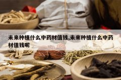 <b>δ����ֲʲô��ҩ��ֵǮ,δ����ֲʲô��ҩ��ֵǮ��</b>