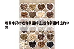 <b>��Щ��ҩ���ʺ��½���ֲ,�ʺ��½���ֲ����ҩ</b>