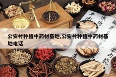 <b>��������ֲ��ҩ�Ļ���,��������ֲ��ҩ�Ļ��ص绰</b>