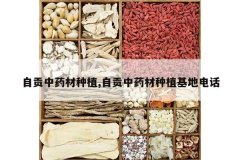 <b>�Թ���ҩ����ֲ,�Թ���ҩ����ֲ���ص绰</b>