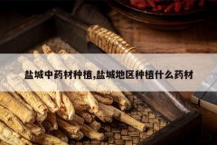 <b>�γ���ҩ����ֲ,�γǵ�����ֲʲôҩ��</b>