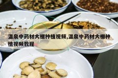 <b>��Ȫ��ҩ�Ĵ�����ֲ��Ƶ,��Ȫ��ҩ�Ĵ�����ֲ��Ƶ�̳�</b>