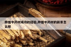 <b>��ֲ��ҩ�ĳɹ��ľ���,��ֲ��ҩ�ĵ�ǰ����ô��</b>