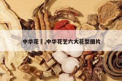 <b>�л����Y,�л�����������ͼƬ</b>