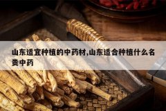 <b>ɽ��������ֲ����ҩ��,ɽ���ʺ���ֲʲô������ҩ</b>