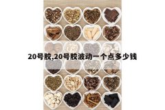 <b>20�Ž�,20�Ž�����һ�������Ǯ</b>