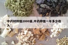 <b>��ҩ����ֲ2000Ķ,��ҩ��ֲһ���������</b>