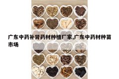 <b>�㶫��ҩ����ҩ����ֲ����,�㶫��ҩ�������г�</b>