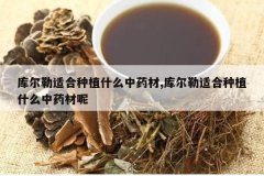 <b>������ʺ���ֲʲô��ҩ��,������ʺ���ֲʲô��ҩ����</b>