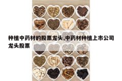 <b>��ֲ��ҩ�ĵĹ�Ʊ��ͷ,��ҩ����ֲ���й�˾��ͷ��Ʊ</b>