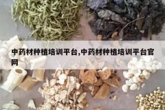 <b>��ҩ����ֲ��ѵƽ̨,��ҩ����ֲ��ѵƽ̨����</b>