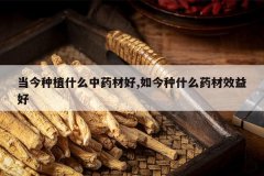 <b>������ֲʲô��ҩ�ĺ�,�����ʲôҩ��Ч���</b>