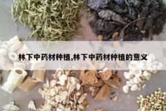 <b>������ҩ����ֲ,������ҩ����ֲ������</b>