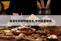 <b>�ι���ҩ����ֲ����,��ҩ�ι���Ƶ</b>