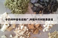 <b>��ҩ����ֲ�绰�ƹ�,��ֲ��ҩ����������</b>