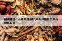 <b>������ֲʲô��ҩ�����,������ֲʲô��ҩ�������</b>